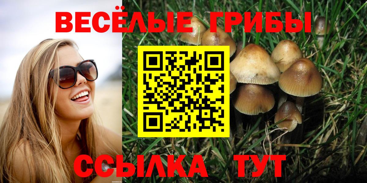 Зима  Псилоцибиновые грибы прущие грибы  Вход с VPN 