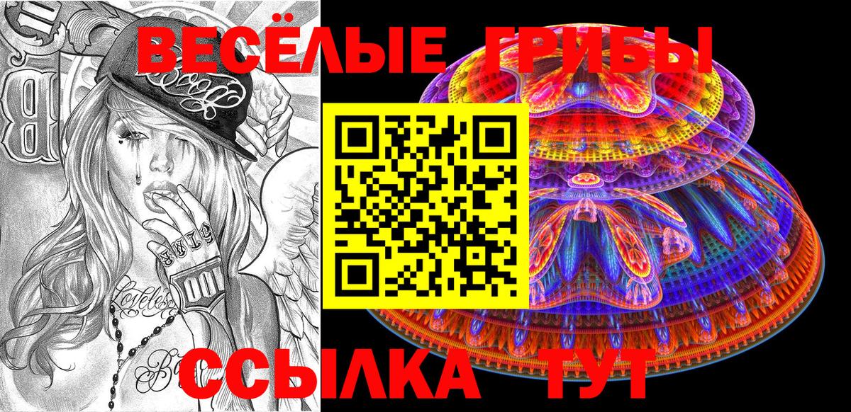 Галлюциногенные грибы Magic Shrooms Зима