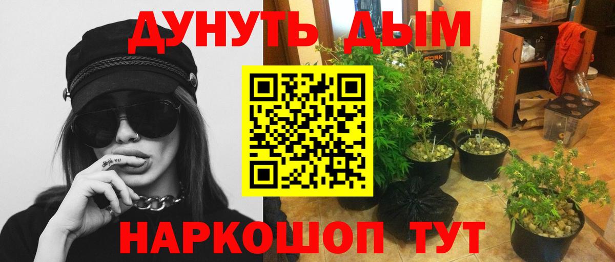 Марихуана план Зима